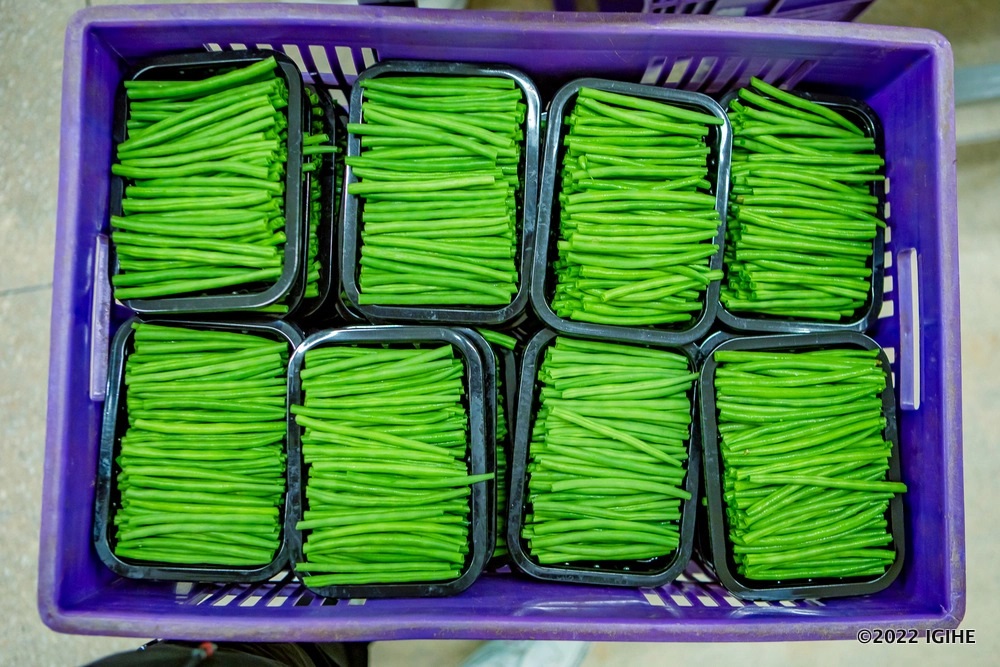 Agricultural exports continue to increase gradually.