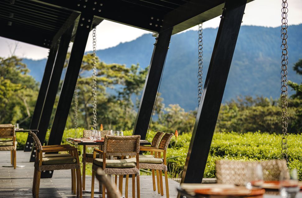 In this captivating resort, you can trek with chimpanzees, discover the endangered Mangabey monkeys, walk among majestic mahogany trees and spot exotic birds
