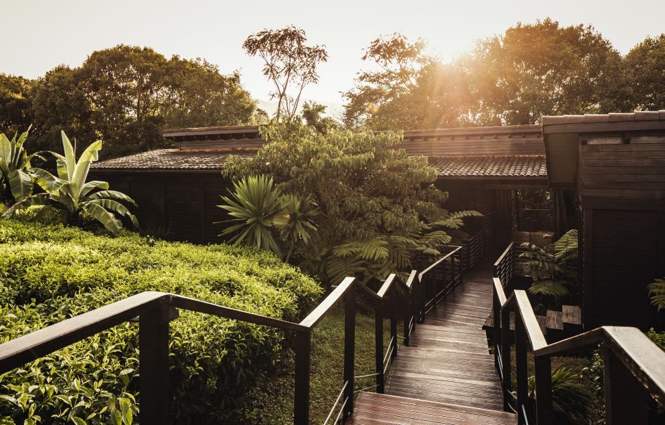 One & Only Nyungwe House is nestled in a working tea plantation in Gisakura