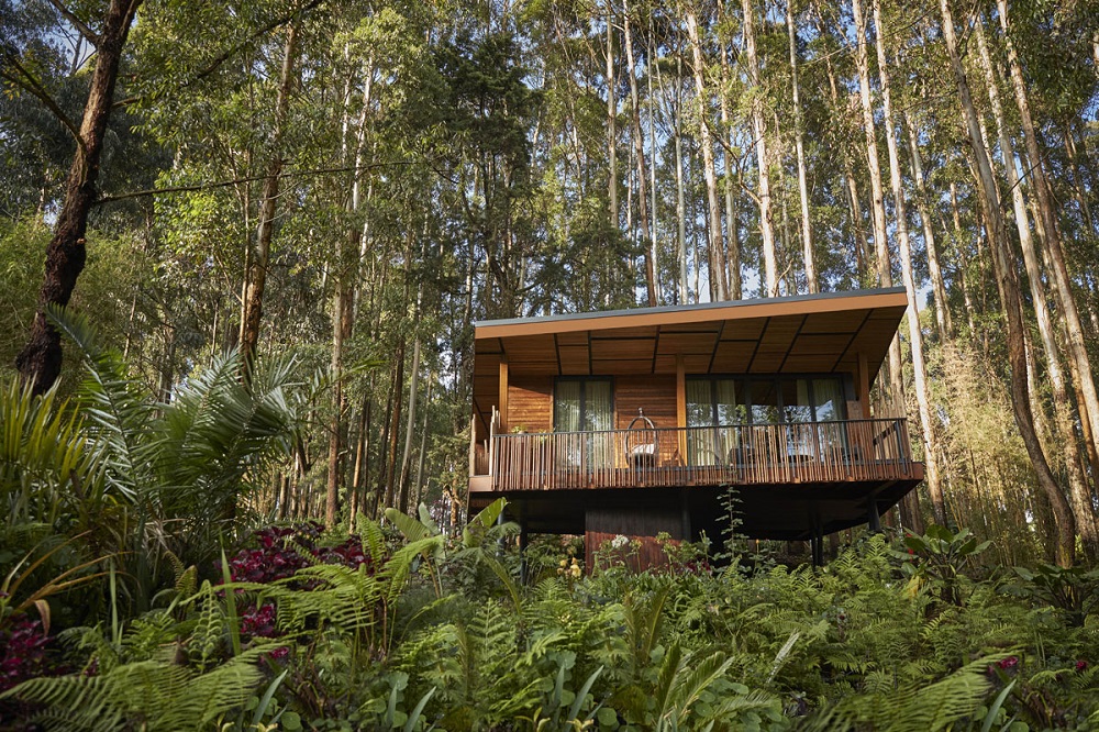 One of cottages at One & Only Gorilla's Nest. 