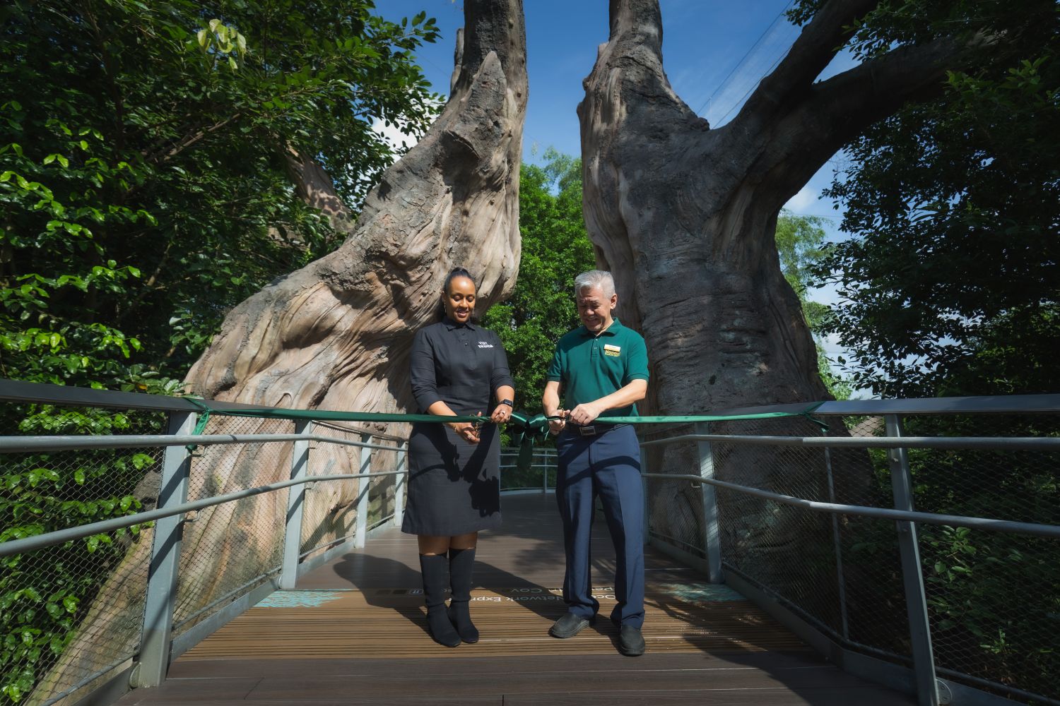 The aviary features a canopy walkway and forested landscapes modelled on Rwanda’s southwestern rainforest, offering visitors a sensory immersion into one of Africa’s most biodiverse ecosystems.
