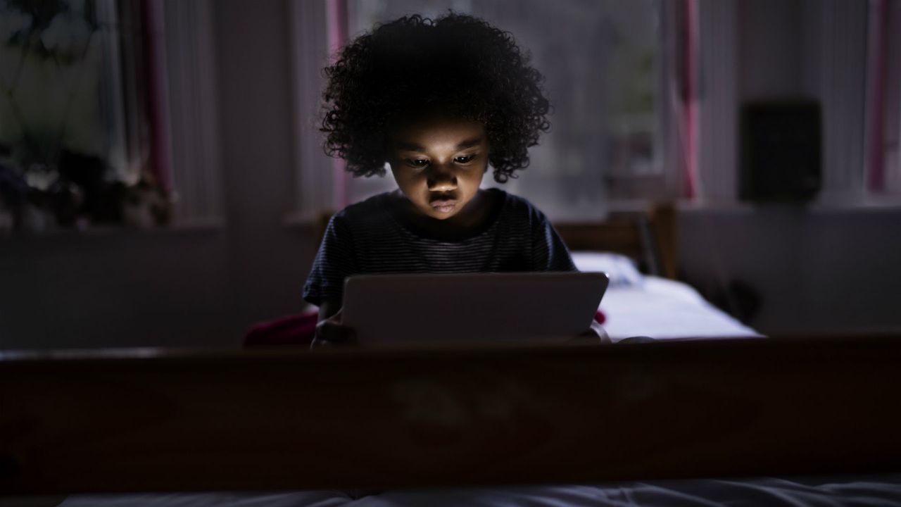 The new policy calls for close collaboration between government institutions and internet service providers to detect and block harmful content before it reaches children.