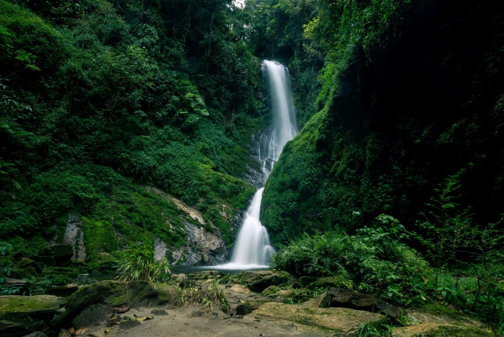 Nyungwe National Park offers a variety of attractions for visitors.
