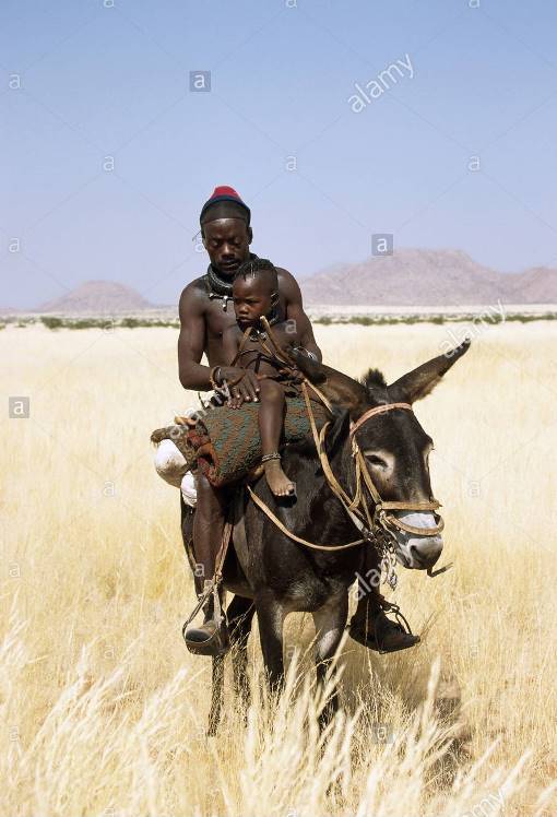 Riding on some horses greatly improved the ability of children to perform certain behavioral tasks.
