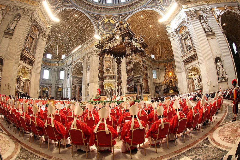 Cardinals gather in Vatican City in 2013.