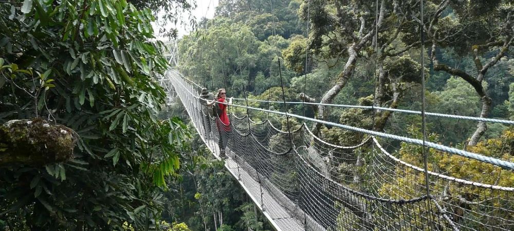 Rwanda's beautiful scenery ensures it is good destination.