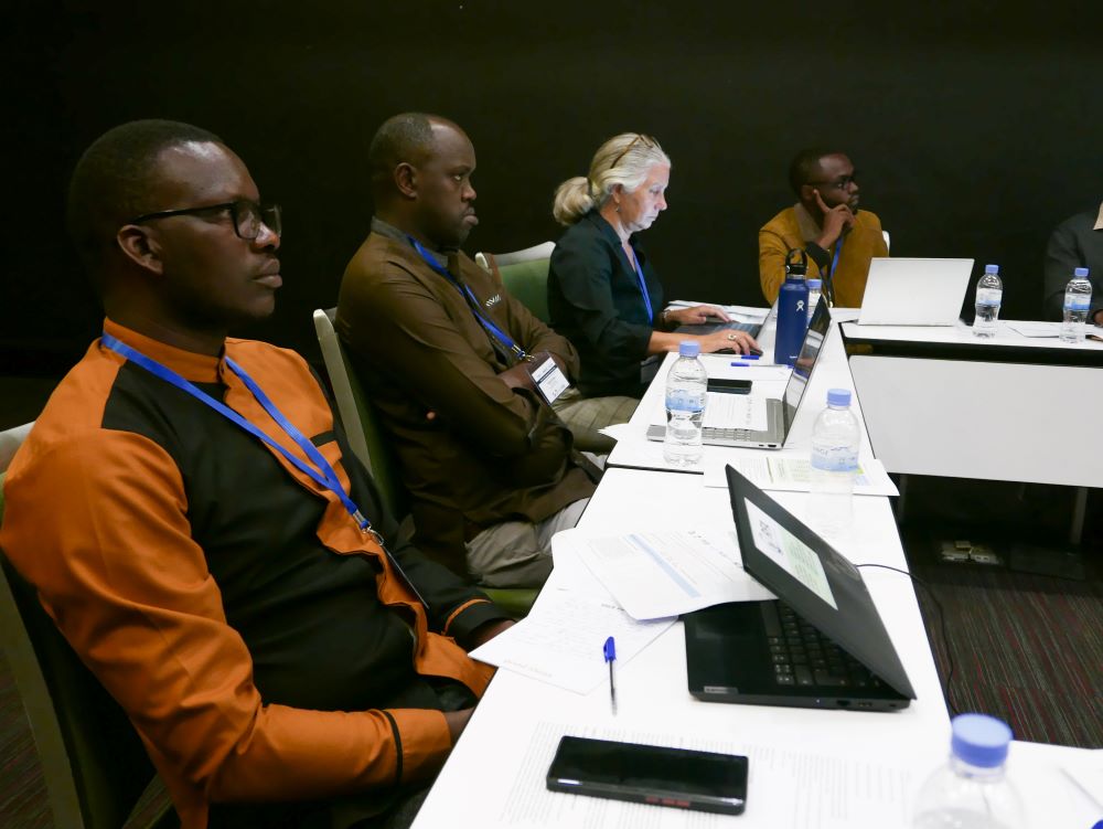 Participants during a stakeholders meeting