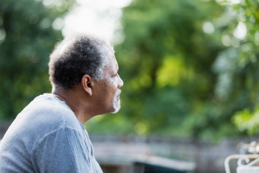 Genes play a crucial role in determining when and how quickly hair turns silver. 