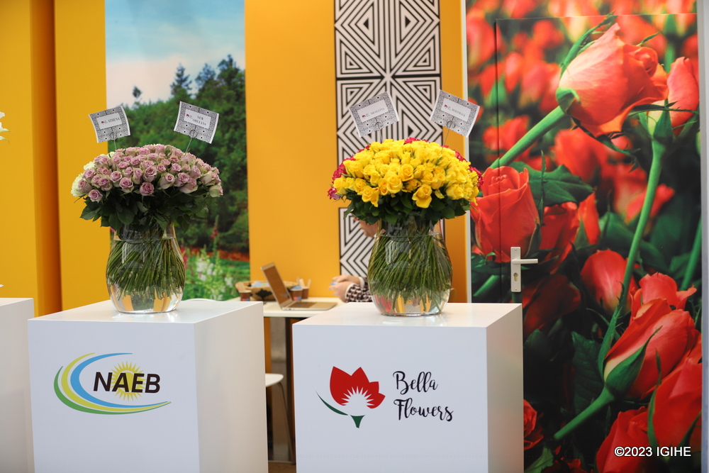 This year, Rwanda will be represented by its Embassy in the Netherlands, the National Agricultural Export Development Board (NAEB) and Bella Flowers.