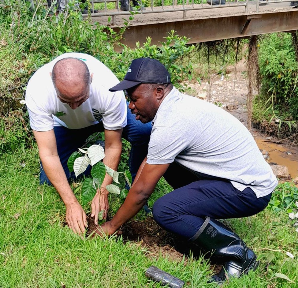 Rubavu District Mayor Prosper Mulindwa participating in the tree planting exercise.