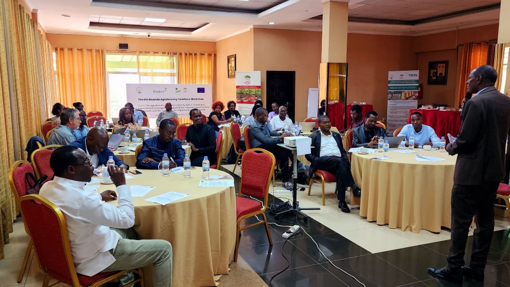 Athanase Mukurarinda, Country Director of the World Agroforestry Centre (ICRAF) addressing participants.