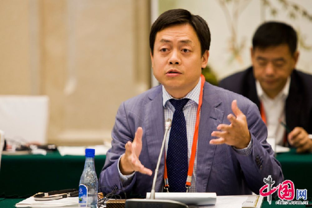 Prof. Dr. Wang emphasizes the importance of strong government leadership in driving modernization in developing countries.