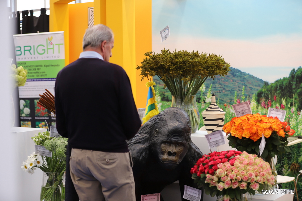 Last year, Rwandans representing various companies involved in flower farming and trading, such as Duhamic-Adri and Bright Harvest, told IGIHE that they were very pleased to participate in the event.