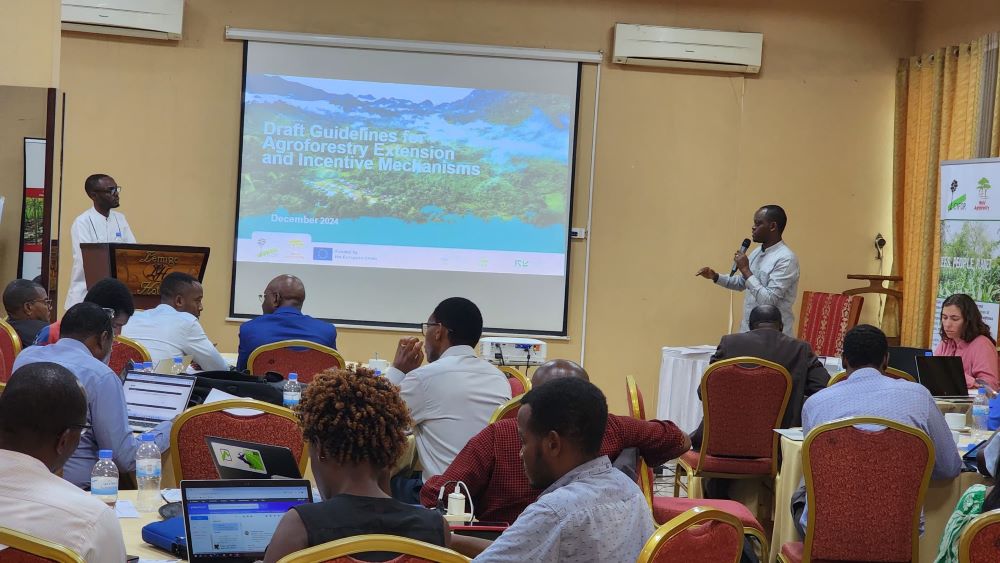 Dr. Ivan Gasangwa, Division Manager of Research at the Rwanda Forestry Authority (RFA), explained how the new guidelines would address existing gaps.