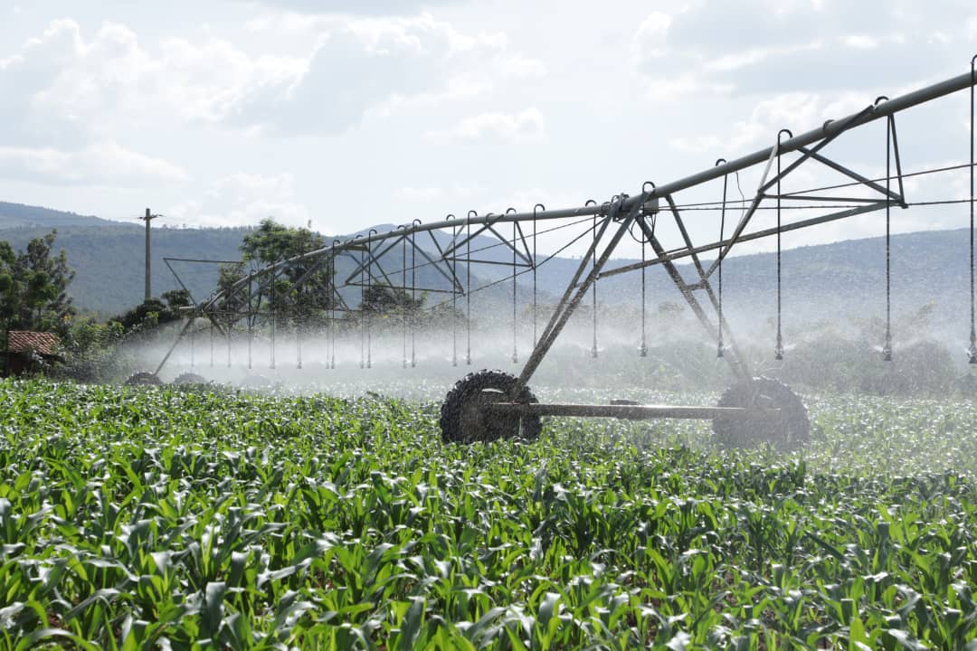 Irrigation technology plays a vital role in Rwanda's agriculture transformation.