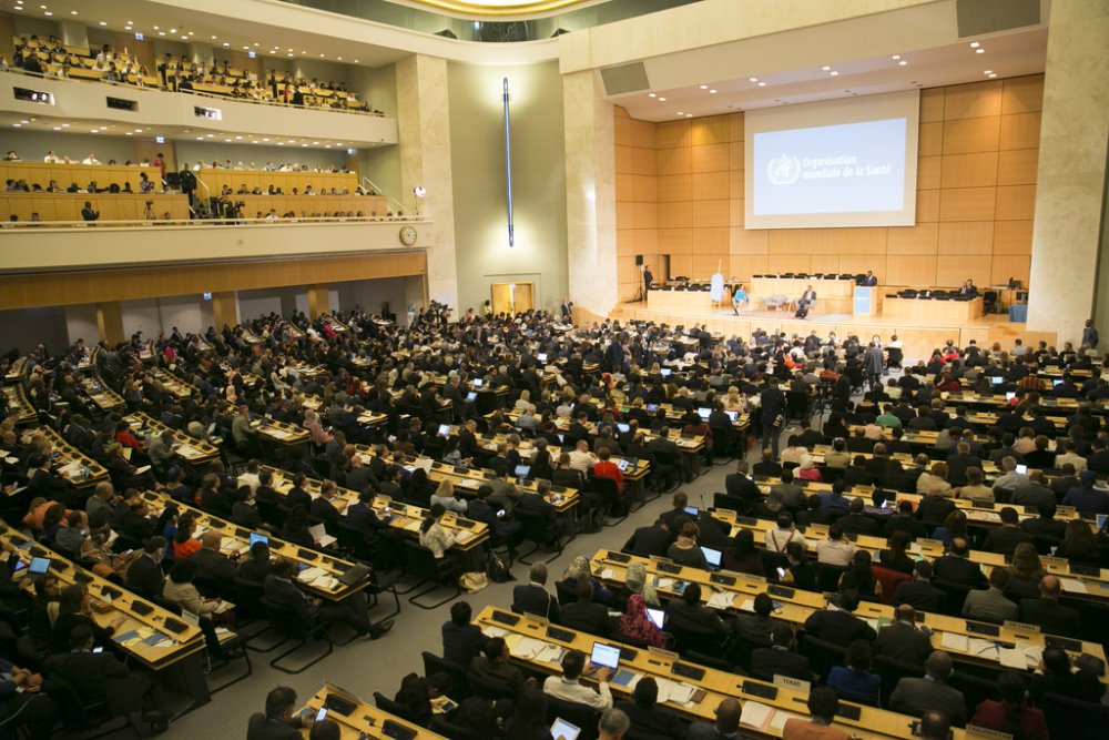 Participants at the 71st World Health Assembly.