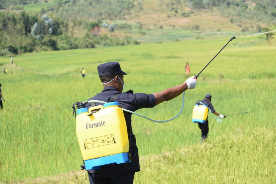 Police participates in the activity