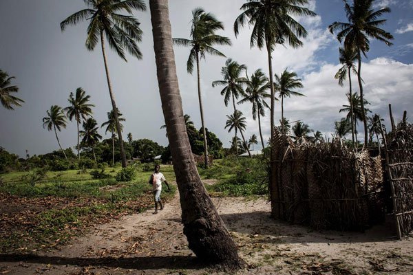 It is the third consecutive year that Mozambique has suffered a cholera epidemic.