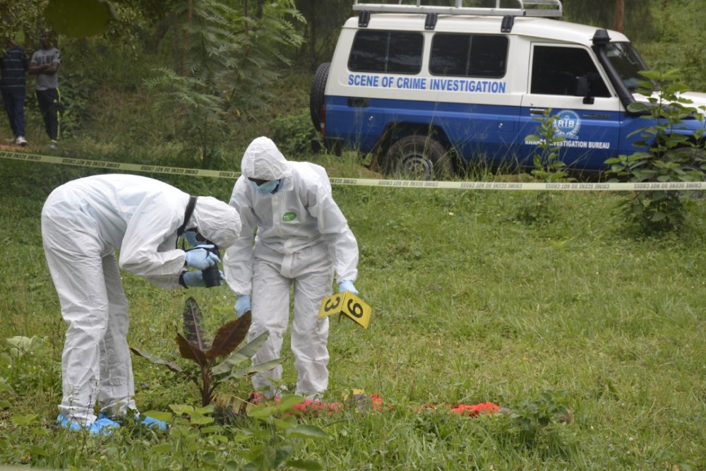 RIB has started investigation. 