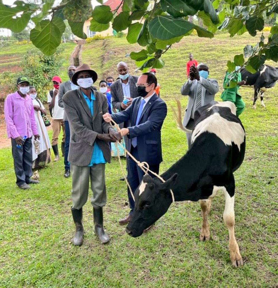 Israel ambassador to Rwanda handing over a cow to one of beneficiaries. 