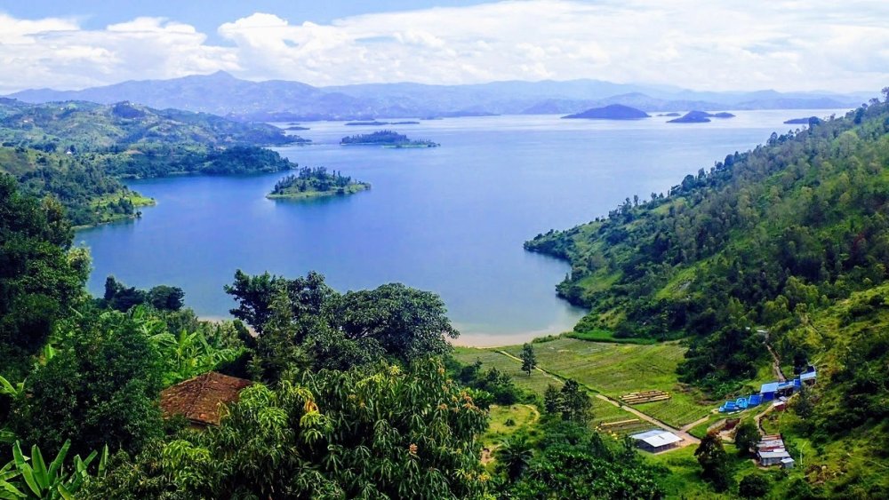 Efforts are also being made to protect biodiversity in the Congo-Nile watershed.