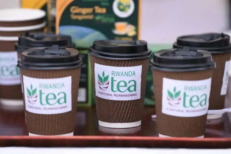 Rwanda’s tea sector saw a 7.1% increase in export revenue for the 2023/2024 fiscal year, reaching $114.88 million, up from $107.3 million in the previous year.