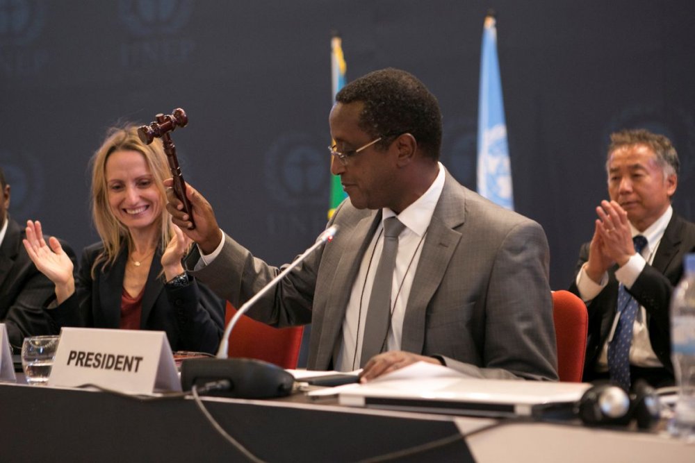 Dr. Vincent Biruta was the President of the Rwandan Senate, the upper chamber of the bicameral Parliament of Rwanda.