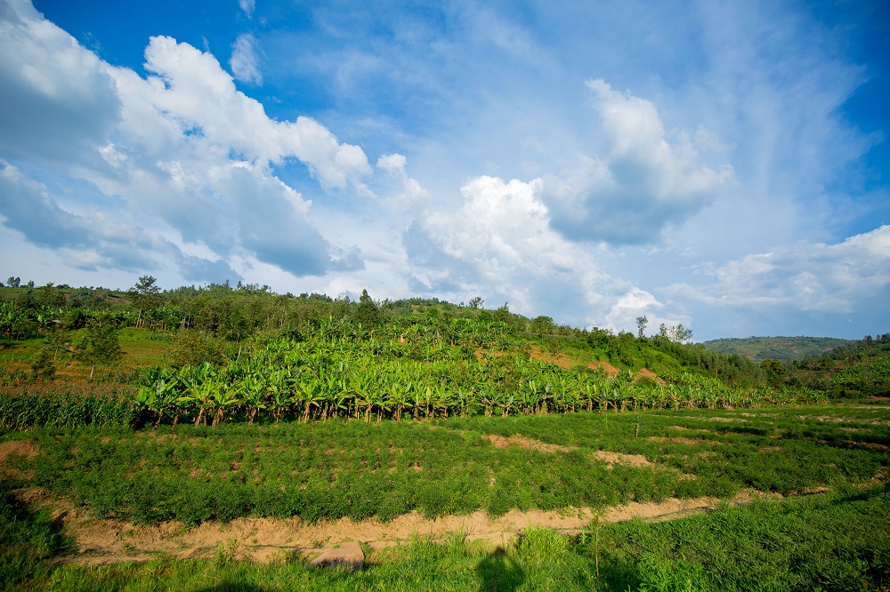 The project that started one year ago, supports groups of farmers comprised of 8110 beneficiaries and plans to increase the number to 30,000.