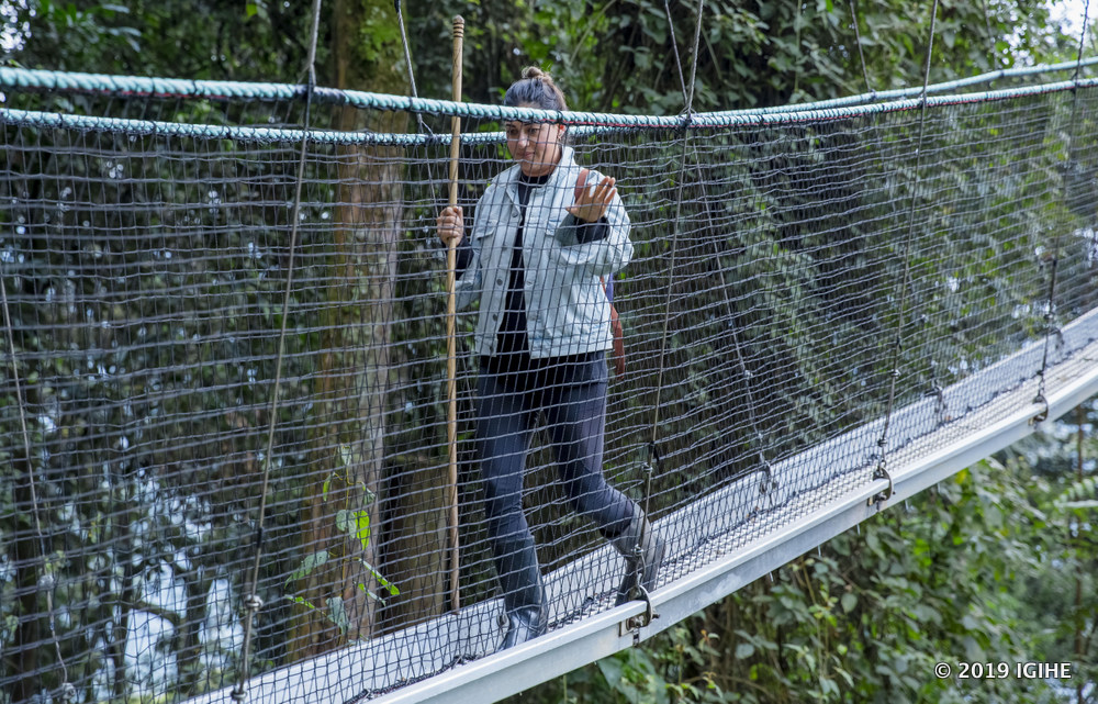 The Canopy Walk is also one of the most exhilarating experiences in Nyungwe.