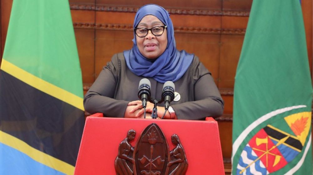 Tanzanian President Samia Suluhu Hassan has warned against meddling into her country's issues