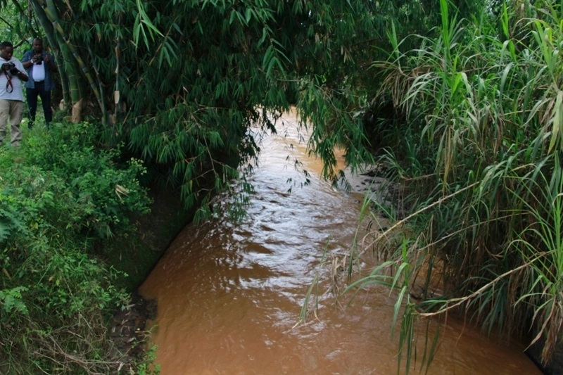 River Sebeya flows through Rubavu, Rutsiro, Nyabihu, and Ngororero districts for 336 km.