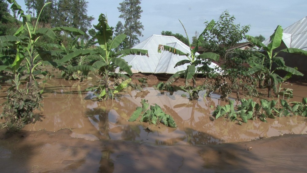 On March 3rd in Rubavu District, five people were injured, 26 houses were totally destroyed, 924 houses partially destroyed and 138.5 hectares of crops were damaged following the downpour in the district.