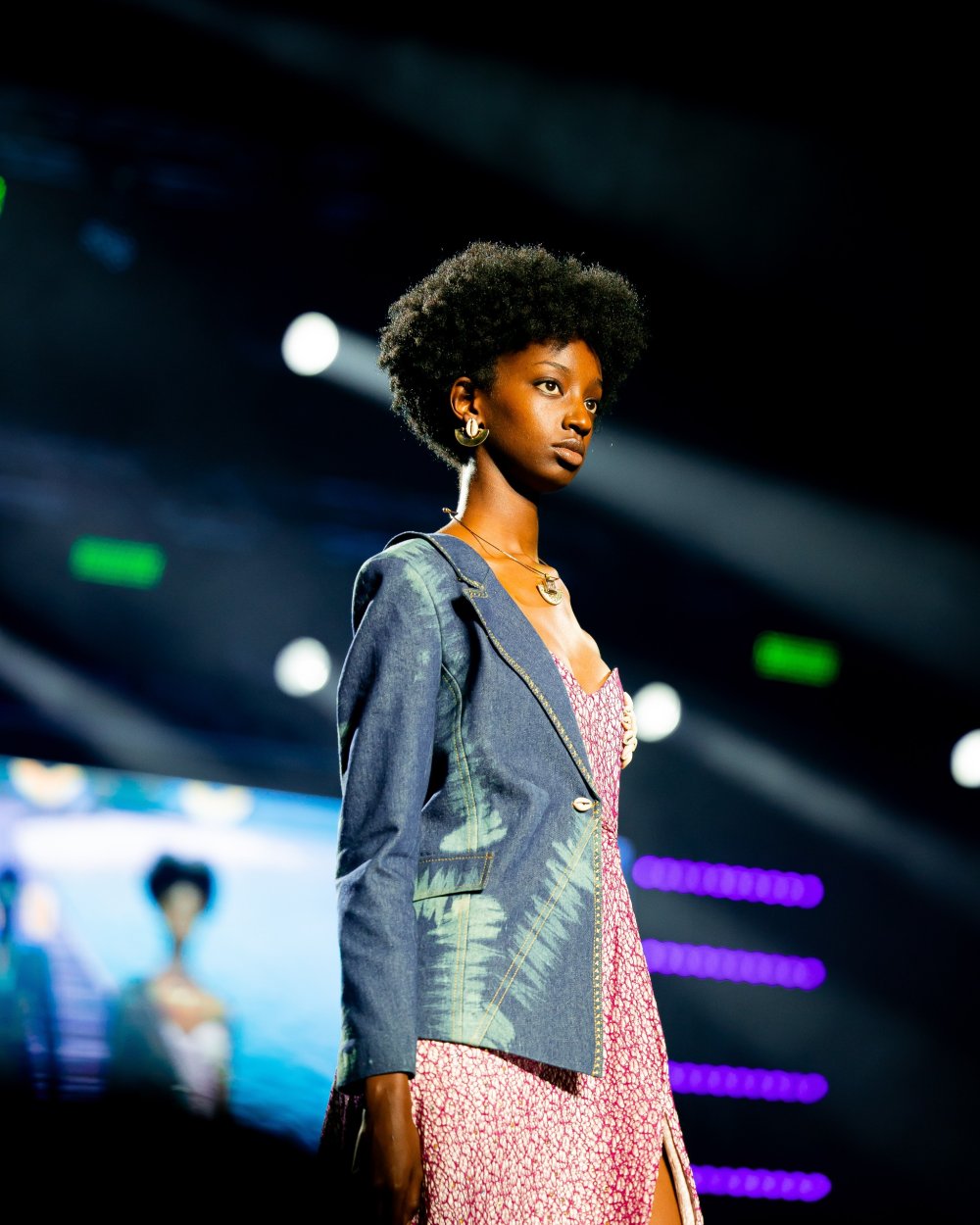 Models showcased their talent at The Silver Gala.