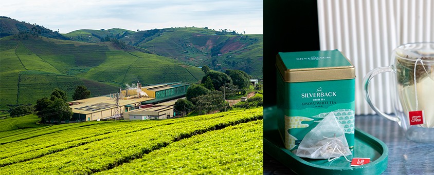 The recognition places Rwandan tea alongside some of the world’s finest, further solidifying its reputation on the global stage.