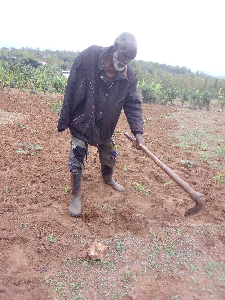 Since 1963, Sebagisha uses his single left arm in farming