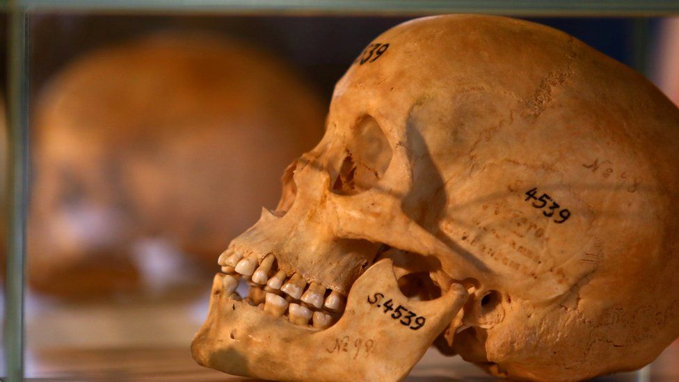 Negotiations are underway to return Rwandans’ skulls from Germany.  