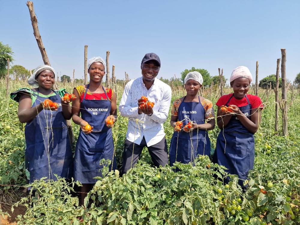 SOUK Farms has been a key player in Rwanda's socio economic transformation, and their ability to create a positive impact in the local agricultural supply chain is well established.