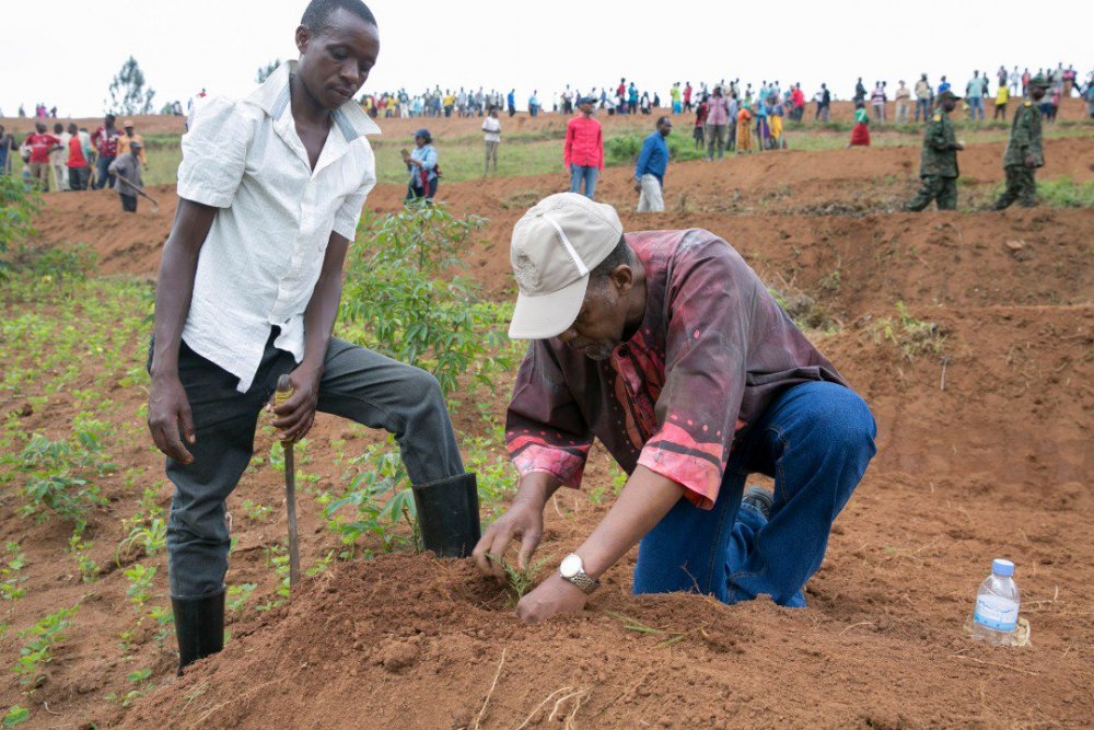 South Africa's Ambassador to Rwanda, George Twala planted a tree as a citizen watches