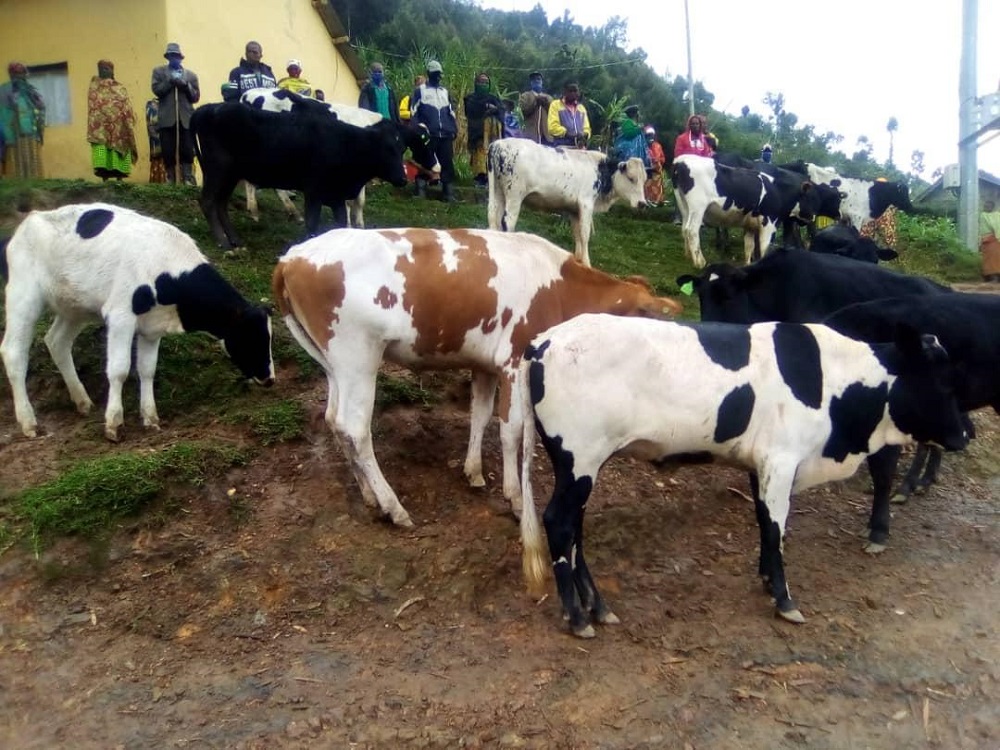 The organization also provided Rwf 900,000 funding to each beneficiary village to mitigate the pandemic’s effects that was utilized based on most pressing issues.  
