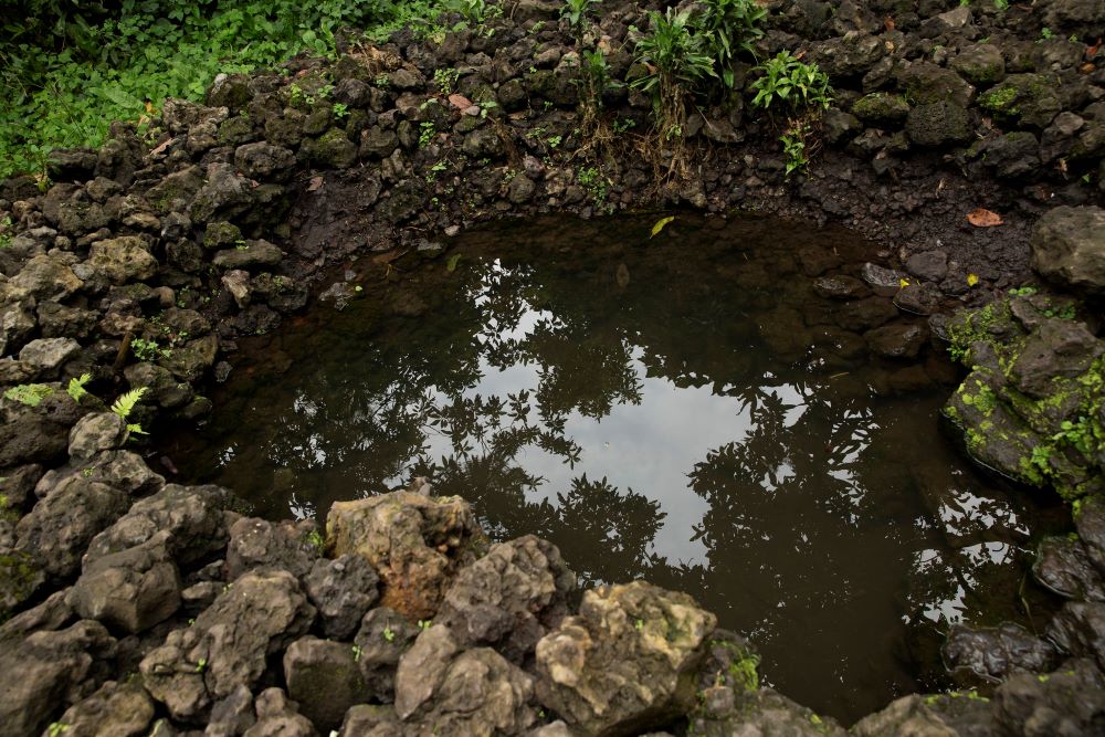 Kings would bathe in the Eco Park's waters as part of a ceremonial cleansing before being anointed and crowned.