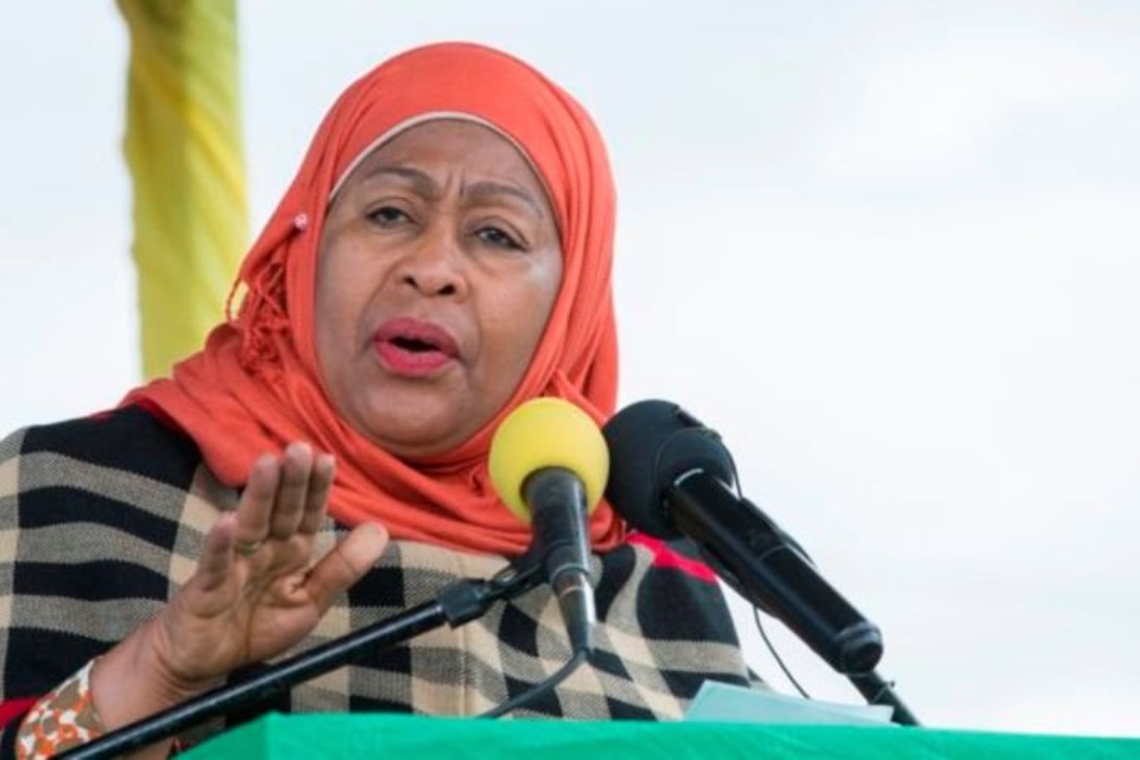 Tanzanian President Samia Suluhu Hassan on Monday confirmed the country's second outbreak of Marburg virus disease (MVD) in two years.