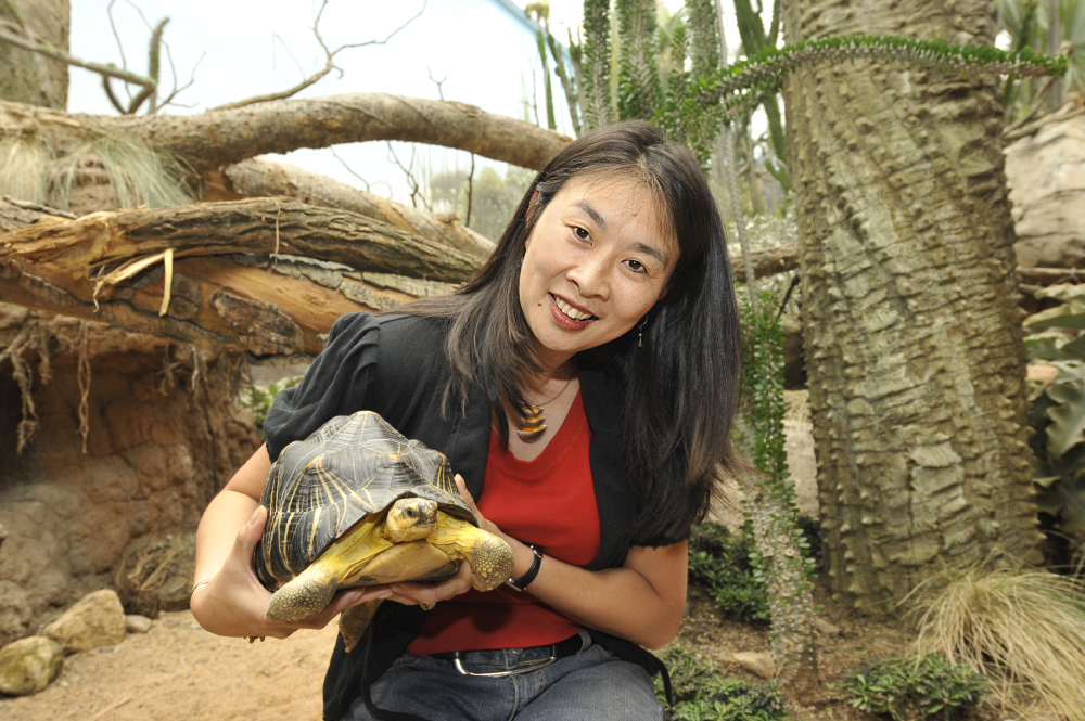 Susan Chin's work educates millions about the natural world.