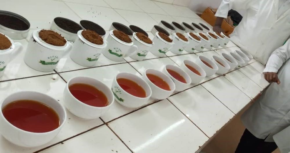 The demand for ethically produced tea is on the rise. 