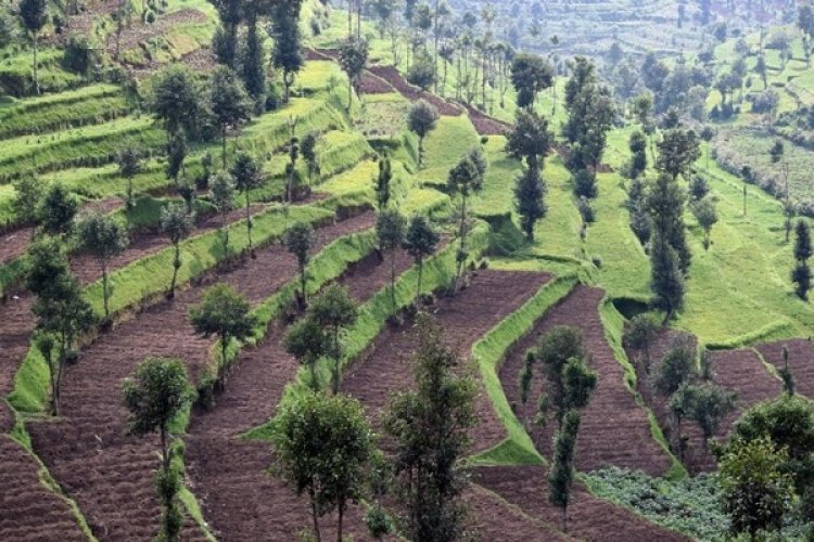 Rwanda was the first country in Africa to make a major pledge to the Bonn Challenge in 2011, committing to restore an ambitious 2 million hectares of degraded land by 2030.