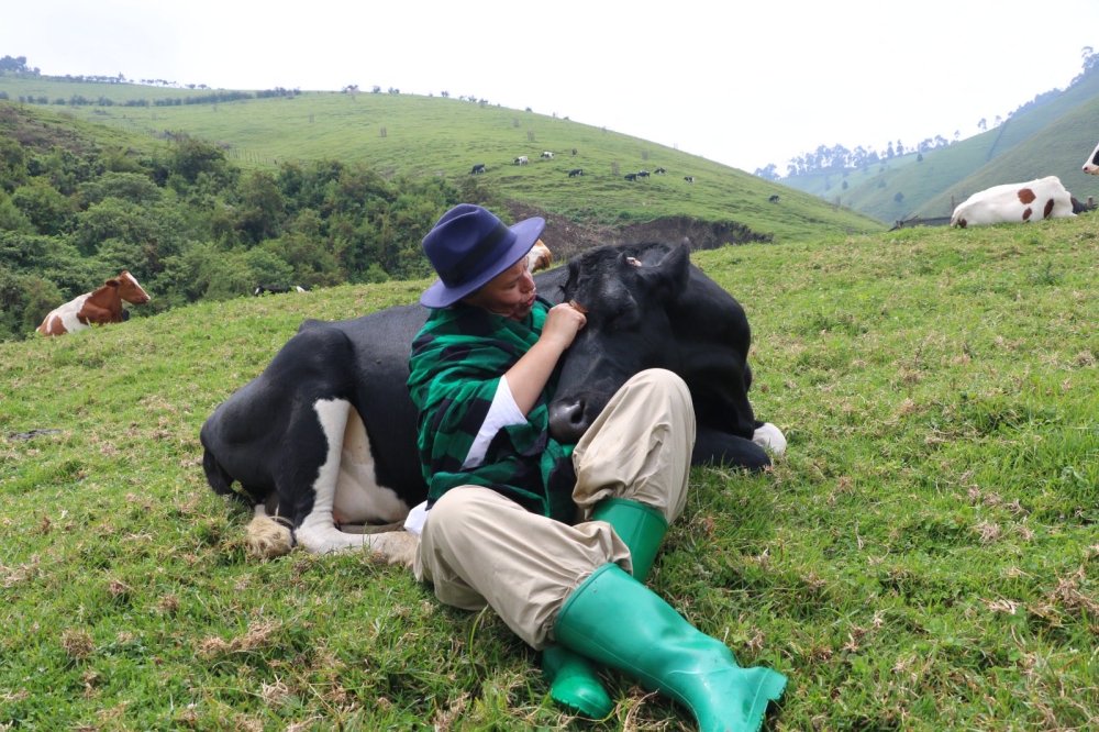 Traditionally, farmers explain that cows are not just a source of milk, but also a symbol of wealth, unity, and value among the people.