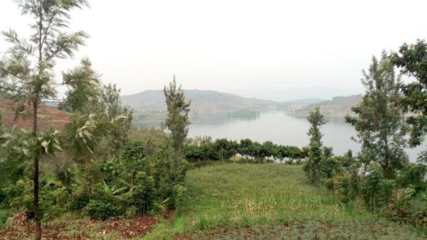 The location where the bullet of rudahigwa disappeared