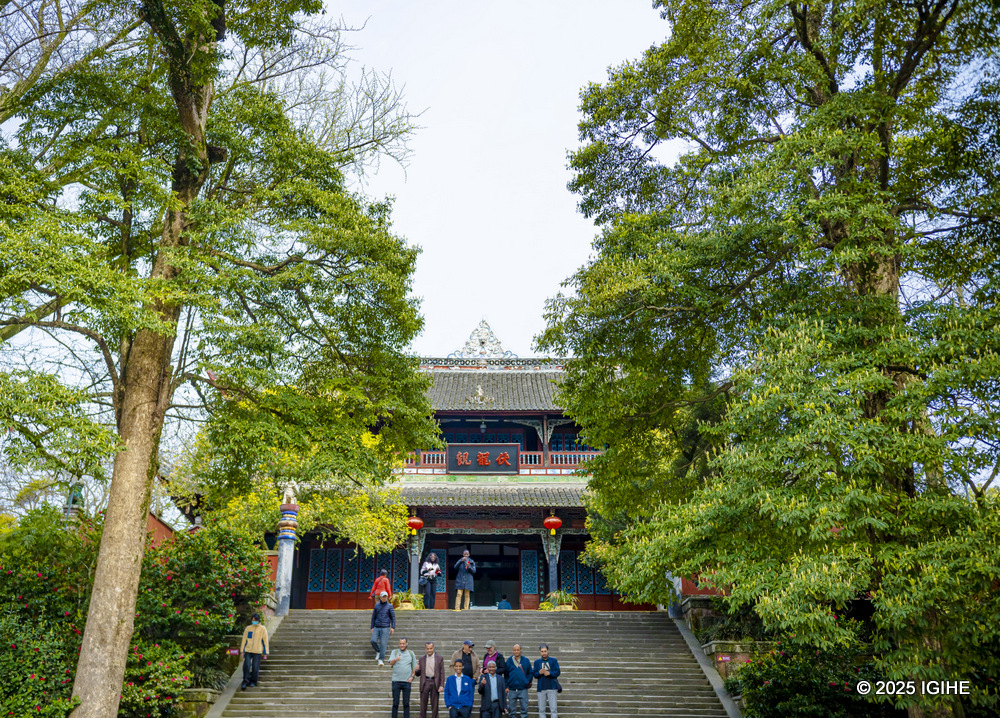 Thousands gather each Qingming Festival to witness the power of water and the depth of ritual.