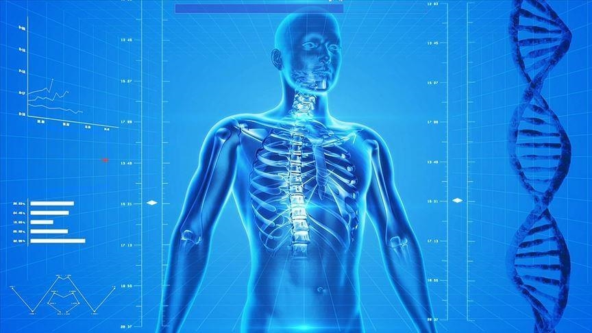 A new artificial intelligence (AI) tool has shown the ability to forecast an individual's risk of developing more than a thousand diseases up to 20 years in advance, according to a study published Wednesday in Nature.