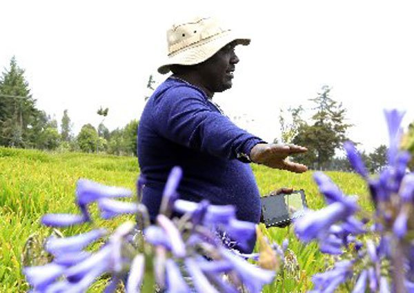 Peter Gachanja at his flower farm in North Kinang'op on September 9, 2016. EU is a big importer of flowers.