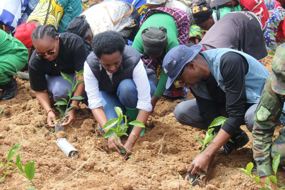 The project will be implemented in six districts known for tea and coffee production.